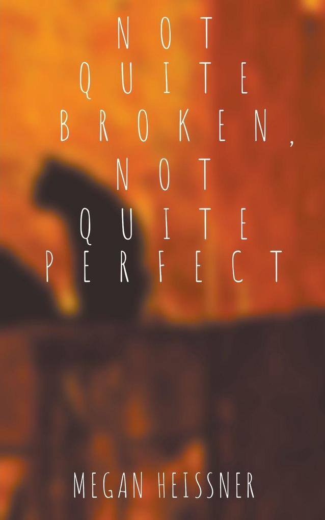 Not Quite Broken Not Quite Perfect
