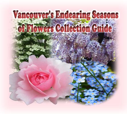 Vancouver‘s Endearing Seasons of Flowers Collection Guide