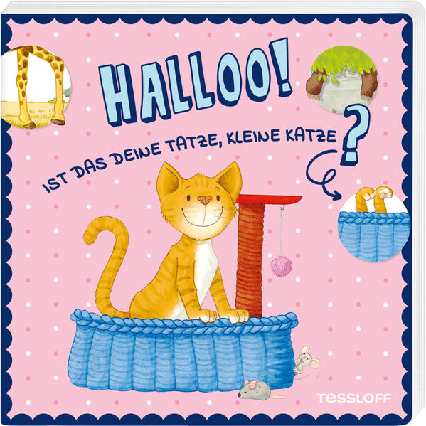 Image of Halloo! Ist das deine Tatze kleine Katze?