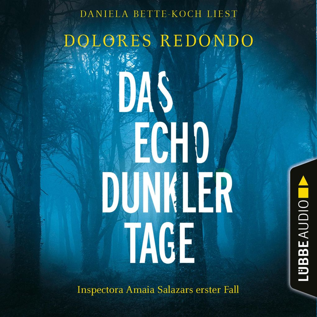 Das Echo dunkler Tage - Inspectora Amaia Salazars erster Fall - Die Baztán-Trilogie Teil 1