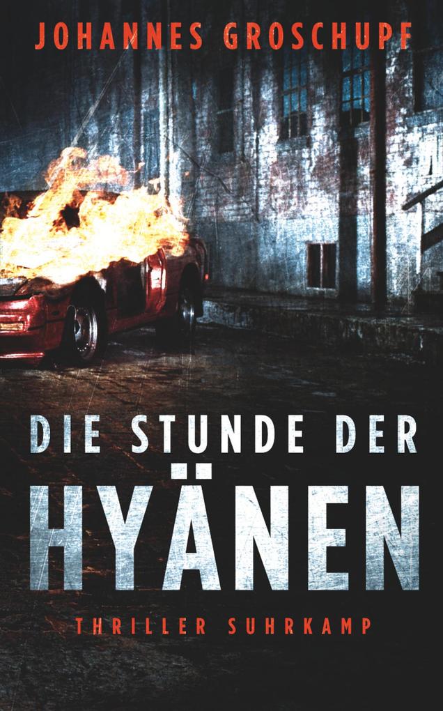 Die Stunde der Hyänen - Thriller (Berlin Noir 3)