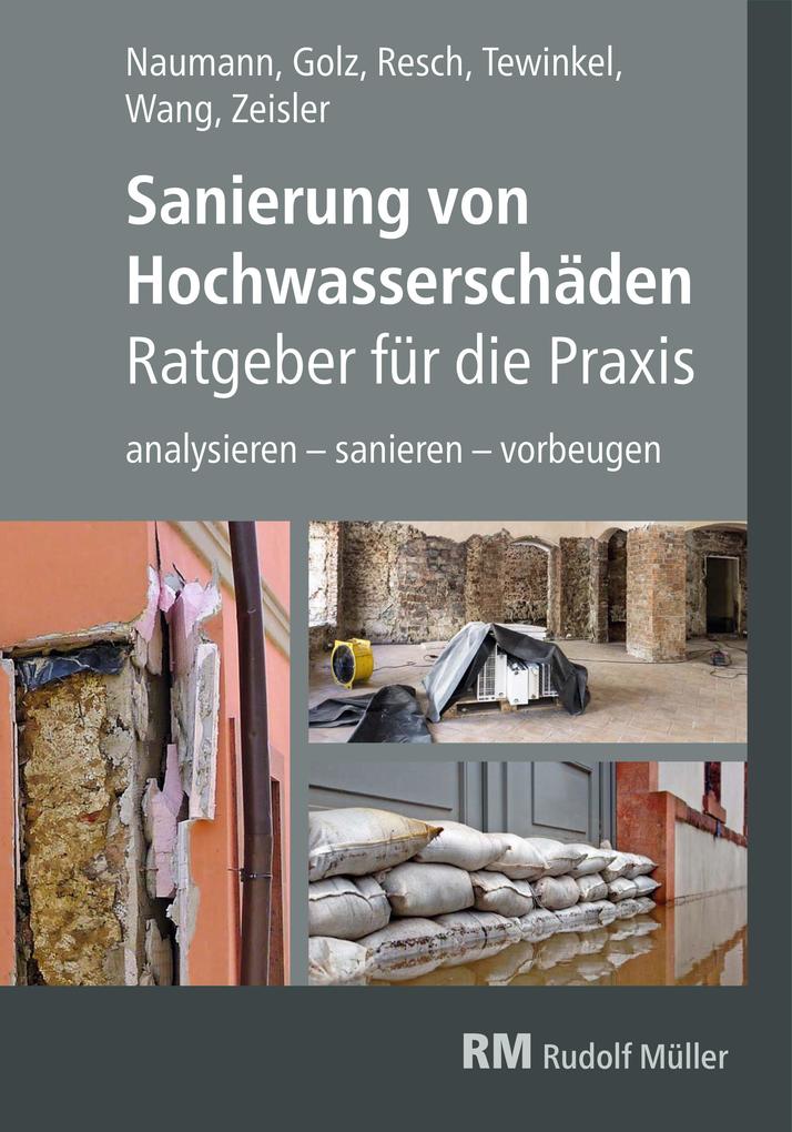 Sanierung von Hochwasserschäden - Ratgeber für die Praxis - E-Book (PDF)
