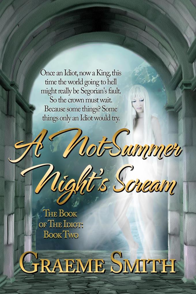 A Not Summer Night‘s Scream (The Book of the Idiot #2)
