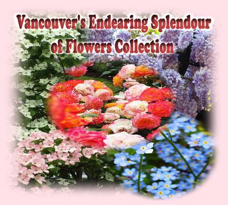 Vancouver‘s Endearing Splendour of Flowers Collection