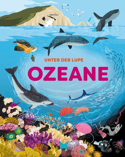 Image of Unter der Lupe: Ozeane