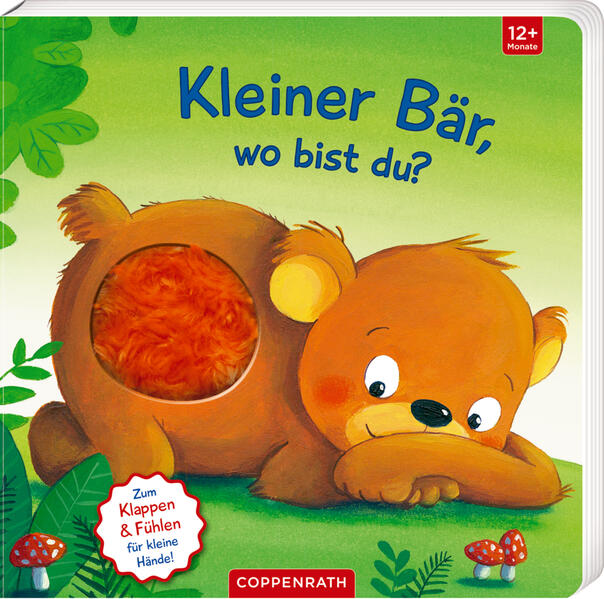 Image of Mein erstes Guckloch-Fühlbuch: Kleiner Bär wo bist du?