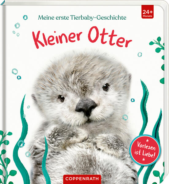 Image of Meine erste Tierbaby-Geschichte: Kleiner Otter