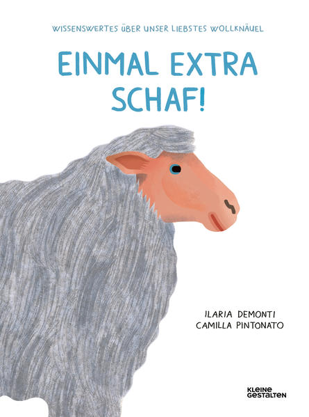 Image of Einmal extra Schaf!