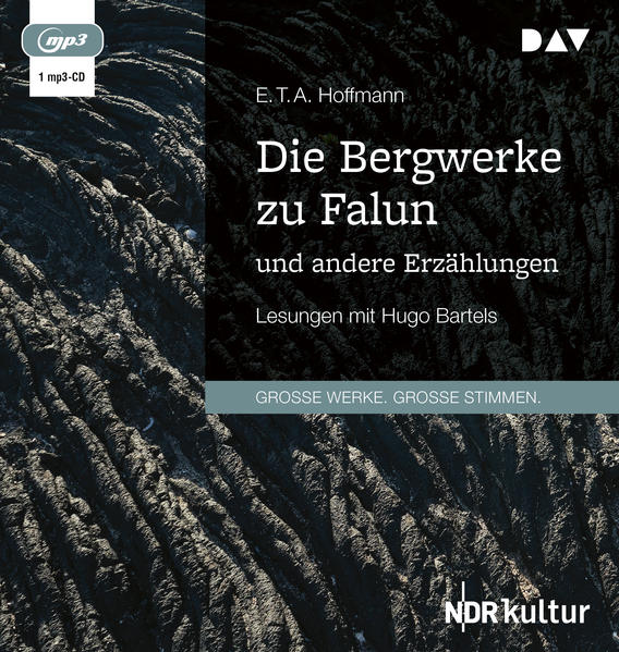 Die Bergwerke zu Falun und andere Erzählungen1 Audio-CD 1 MP3
