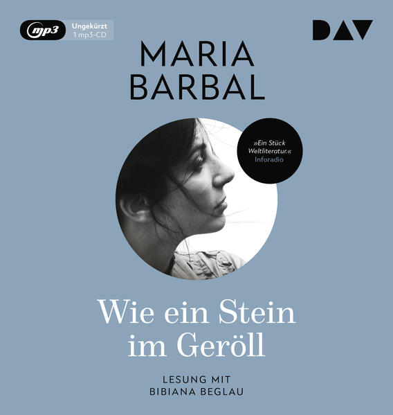 Wie ein Stein im Geröll 1 Audio-CD 1 MP3