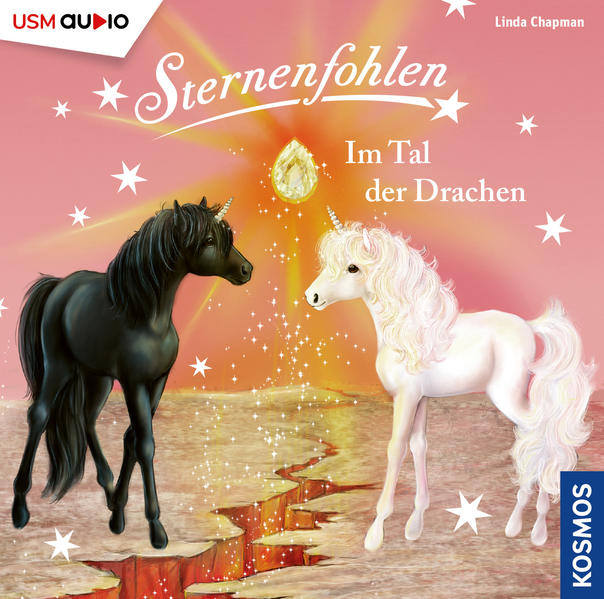 Sternenfohlen 30: Im Tal der Drachen