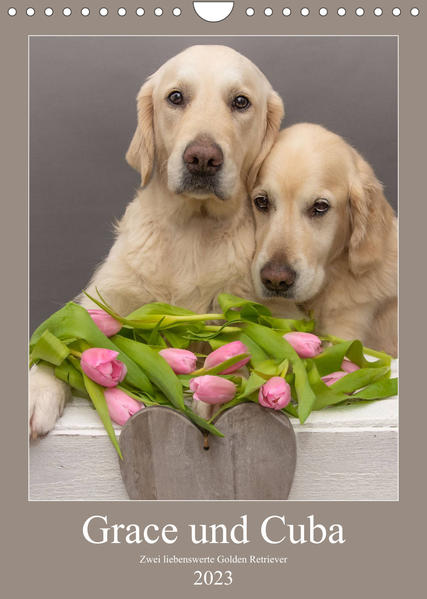 Image of Grace und Cuba - Zwei liebenswerte Golden Retriever (Wandkalender 2023 DIN A4 hoch)