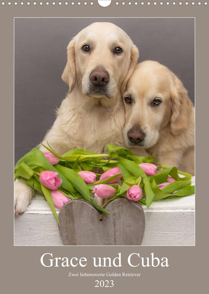 Image of Grace und Cuba - Zwei liebenswerte Golden Retriever (Wandkalender 2023 DIN A3 hoch)