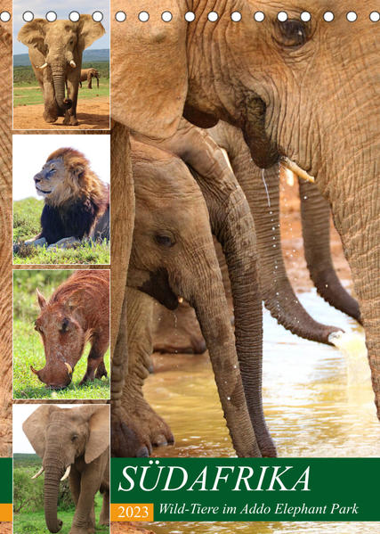 SÜDAFRIKA Wild-Tiere im Addo Elephant Park (Tischkalender 2023 DIN A5 hoch)