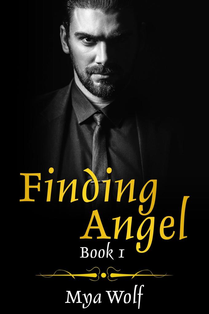 Finding Angel Book 1