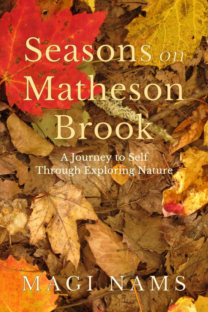 Seasons on Matheson Brook: A Journey to Self Through Exploring Nature