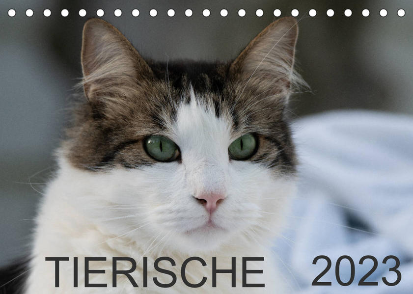 Image of Tierische 2023 (Tischkalender 2023 DIN A5 quer)