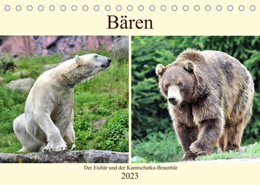 Image of Bären - Der Eisbär und der Kamtschatka-Braunbär (Tischkalender 2023 DIN A5 quer)