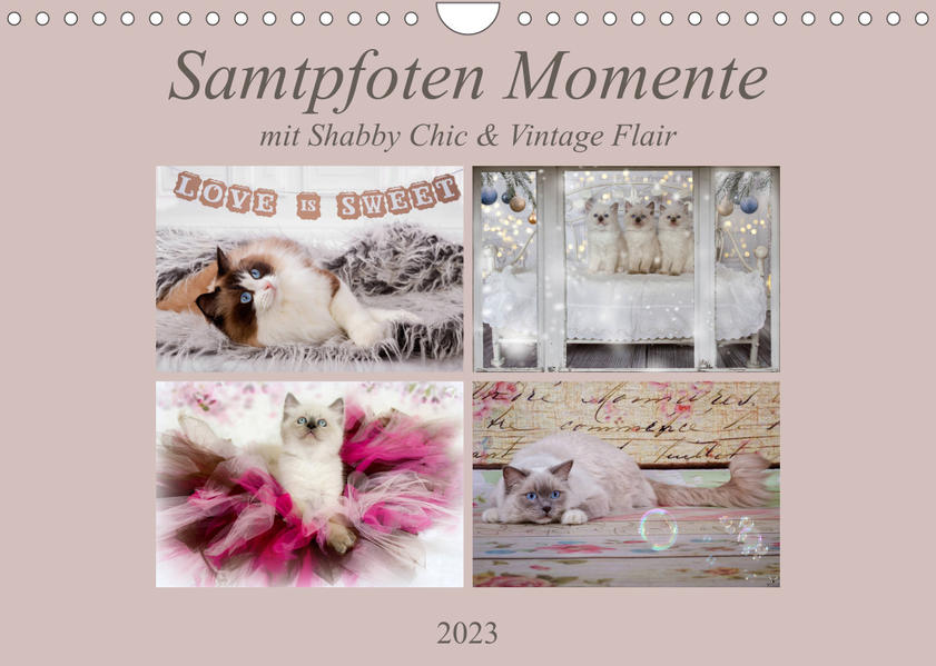 Samtpfoten Momente mit Shabby Chic & Vintage Flair (Wandkalender 2023 DIN A4 quer) - Marion Reiß-Seibert