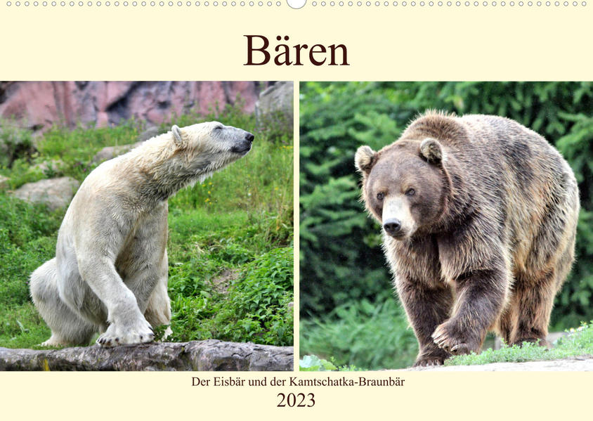 Image of Bären - Der Eisbär und der Kamtschatka-Braunbär (Wandkalender 2023 DIN A2 quer)