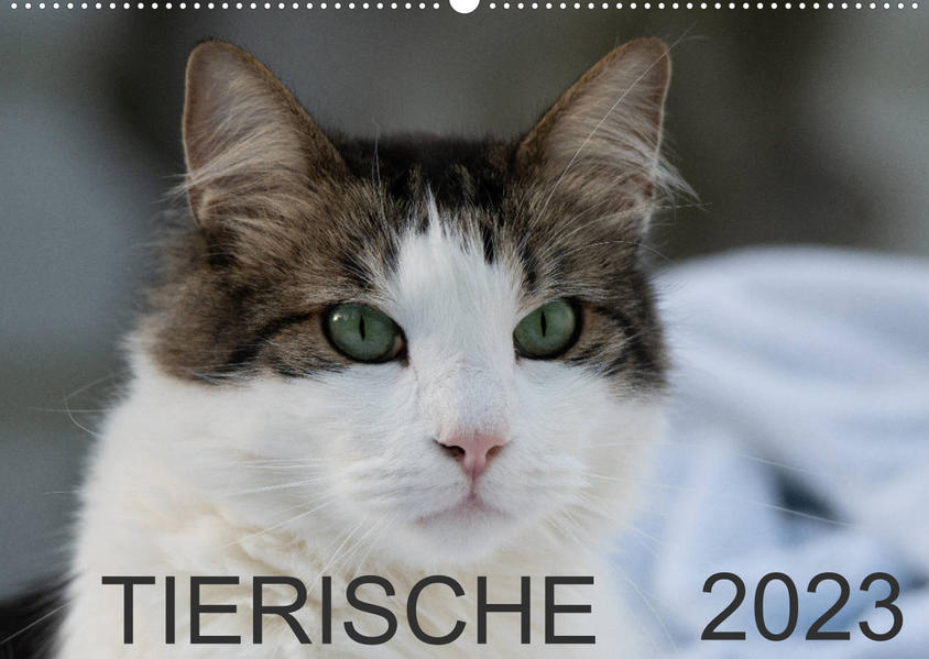 Image of Tierische 2023 (Wandkalender 2023 DIN A2 quer)