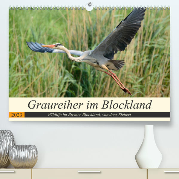 Graureiher im Blockland (Premium hochwertiger DIN A2 Wandkalender 2023 Kunstdruck in Hochglanz) - Jens Siebert