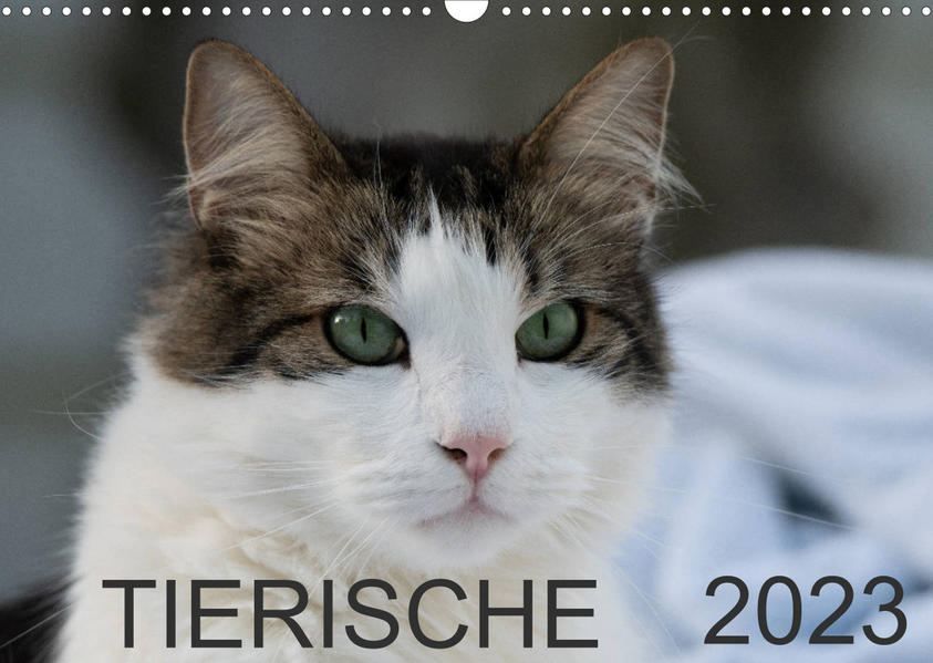 Image of Tierische 2023 (Wandkalender 2023 DIN A3 quer)