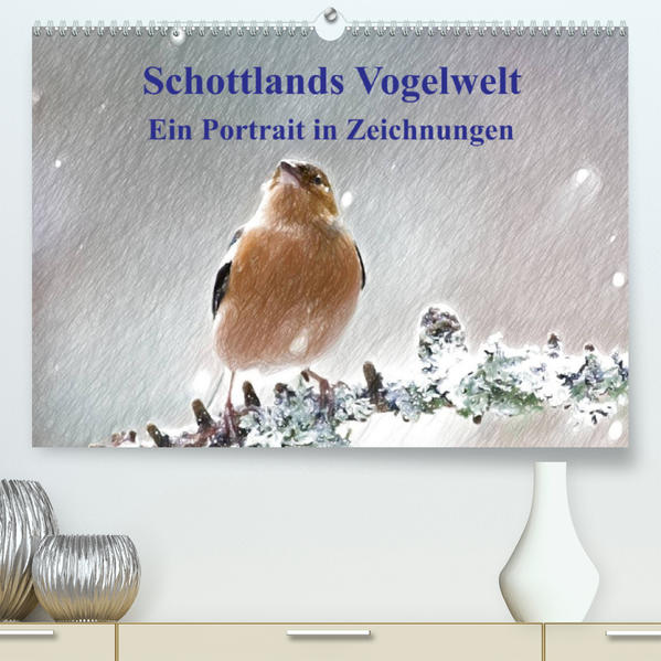 Schottlands Vogelwelt - Ein Porträt in Zeichnungen (Premium hochwertiger DIN A2 Wandkalender 2023 Kunstdruck in Hochglanz) - Friederike Küster
