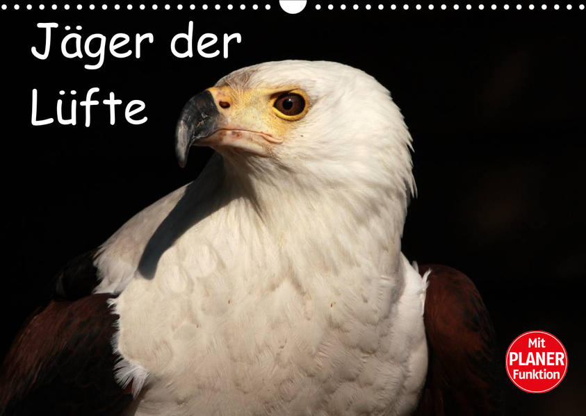 Image of Jäger der Lüfte (Wandkalender 2023 DIN A3 quer)