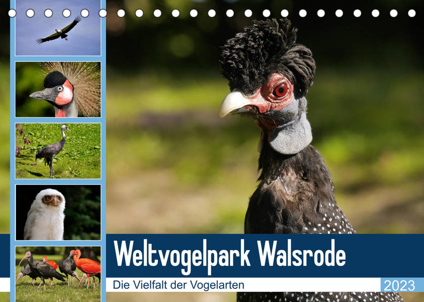 Image of Weltvogelpark Walsrode - Die Vielfalt der Vogelarten (Tischkalender 2023 DIN A5 quer)