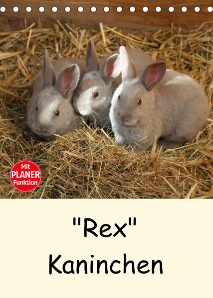 Image of Rex Kaninchen (Tischkalender 2023 DIN A5 hoch)