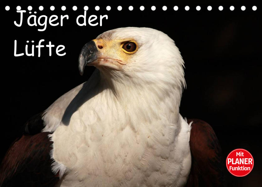 Image of Jäger der Lüfte (Tischkalender 2023 DIN A5 quer)