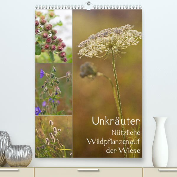 Unkräuter - Nützliche Wildpflanzen auf der Wiese (Premium hochwertiger DIN A2 Wandkalender 2023 Kunstdruck in Hochglanz) - Drachenkind-Fotografie