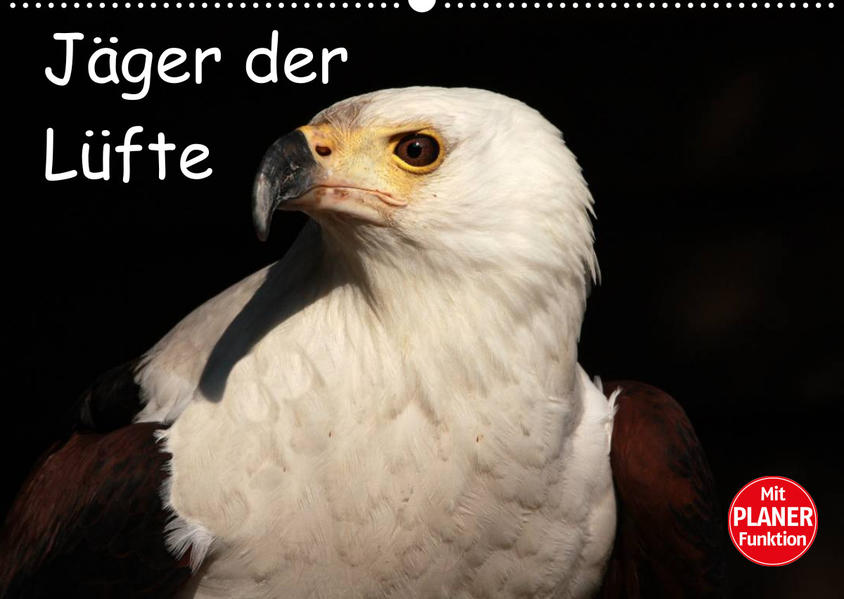 Image of Jäger der Lüfte (Wandkalender 2023 DIN A2 quer)