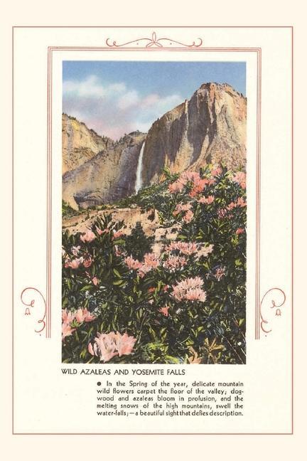 The Vintage Journal Wild Azaleas at Yosemite