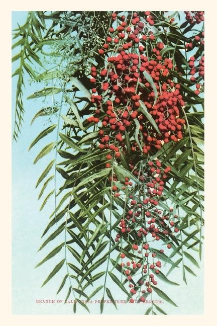 The Vintage Journal California Pepper Berries