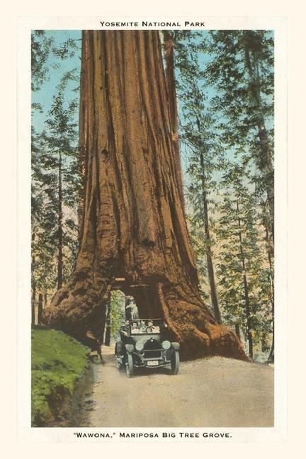 The Vintage Journal Wawona Mariposa Big Tree Grove Yosemite California