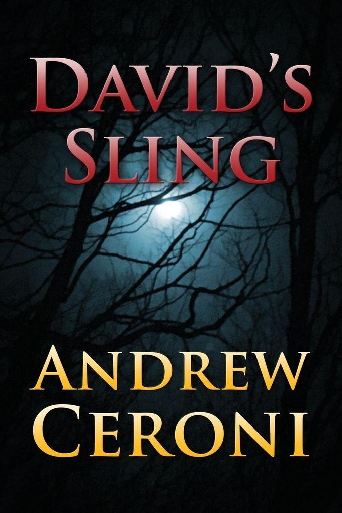 DAVID'S SLING