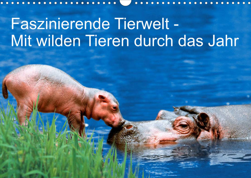 Image of Faszinierende Tierwelt - Mit wilden Tieren durch das Jahr (Wandkalender 2023 DIN A3 quer)