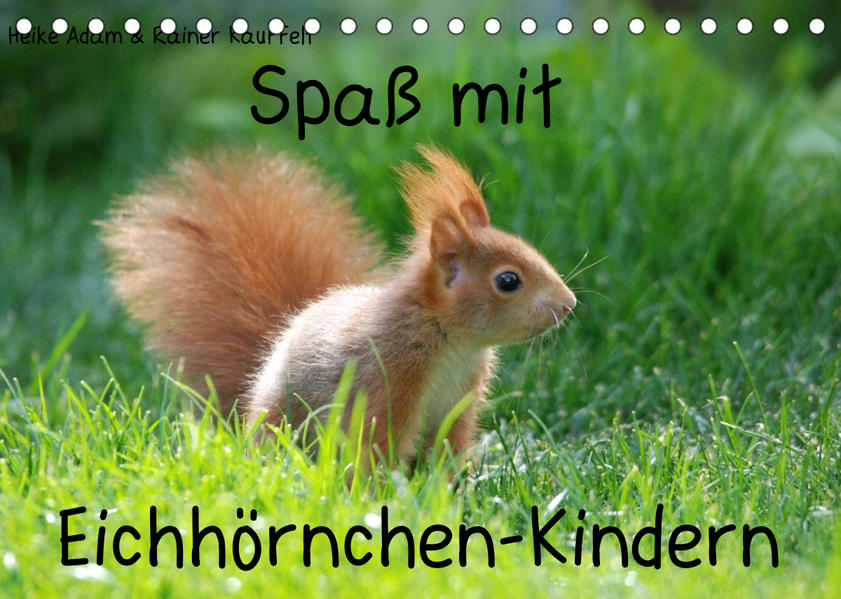 Image of Spaß mit Eichhörnchen-Kindern (Tischkalender 2023 DIN A5 quer)