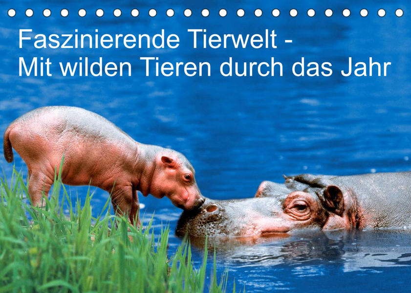 Image of Faszinierende Tierwelt - Mit wilden Tieren durch das Jahr (Tischkalender 2023 DIN A5 quer)