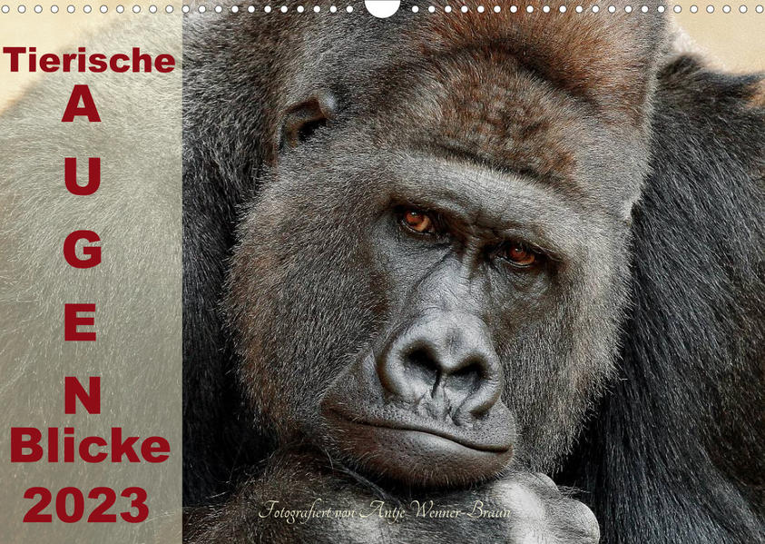 Image of Tierische Augen-Blicke 2023 (Wandkalender 2023 DIN A3 quer)