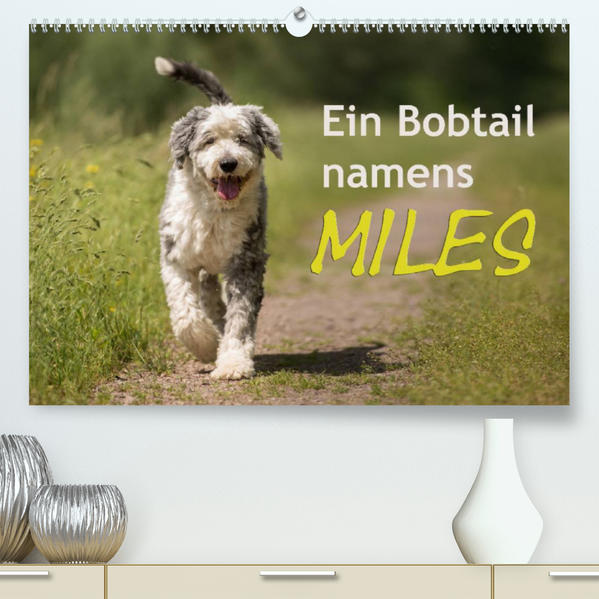 Image of Ein Bobtail namens Miles (Premium hochwertiger DIN A2 Wandkalender 2023 Kunstdruck in Hochglanz)