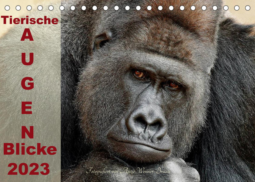 Image of Tierische Augen-Blicke 2023 (Tischkalender 2023 DIN A5 quer)