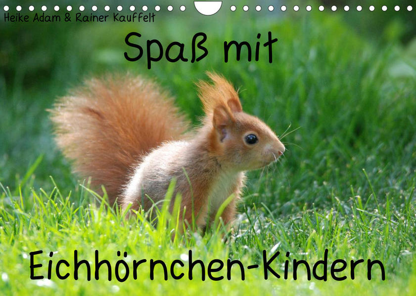 Image of Spaß mit Eichhörnchen-Kindern (Wandkalender 2023 DIN A4 quer)