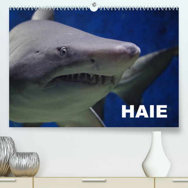 Image of Haie (Premium hochwertiger DIN A2 Wandkalender 2023 Kunstdruck in Hochglanz)