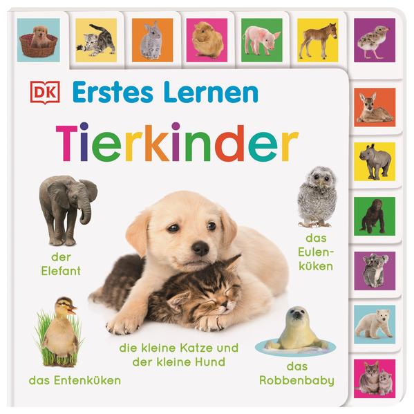 Image of Erstes Lernen. Tierkinder