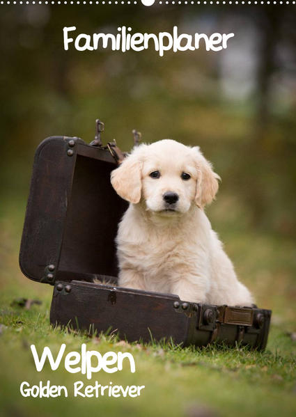 Image of Familienplaner: Golden Retriever Welpen (Wandkalender 2023 DIN A2 hoch)