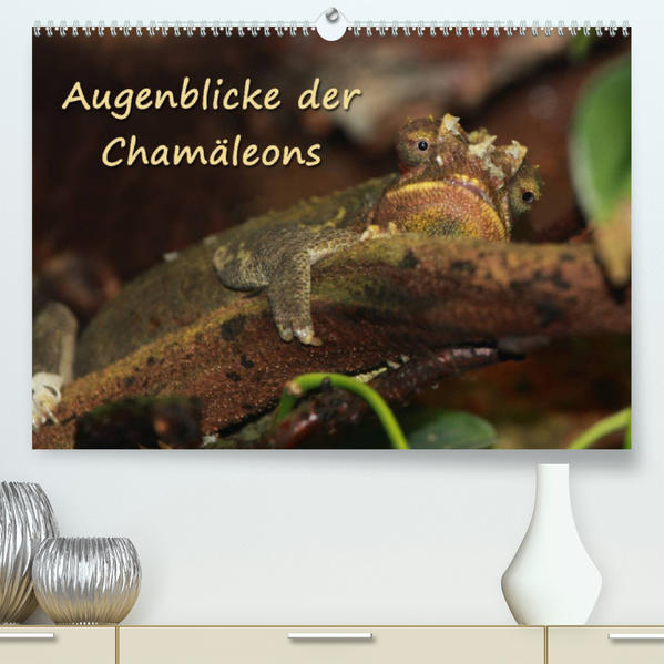 Image of Augenblicke der Chamäleons (Premium hochwertiger DIN A2 Wandkalender 2023 Kunstdruck in Hochglanz)