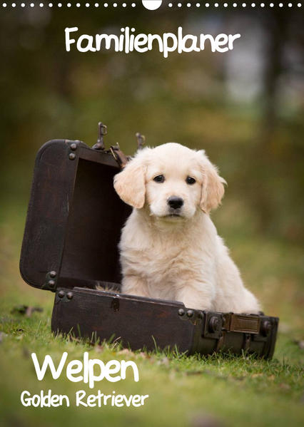 Image of Familienplaner: Golden Retriever Welpen (Wandkalender 2023 DIN A3 hoch)